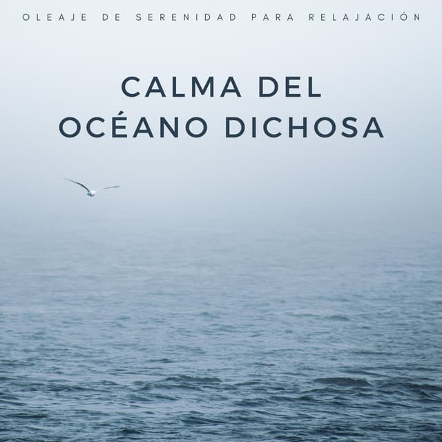 Calma Del Océano Dichosa: Oleaje De Serenidad Para Relajación - Vientos y Océanos
