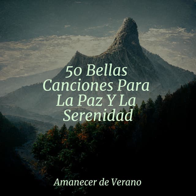 50 Bellas Canciones Para La Paz Y La Serenidad - New Age