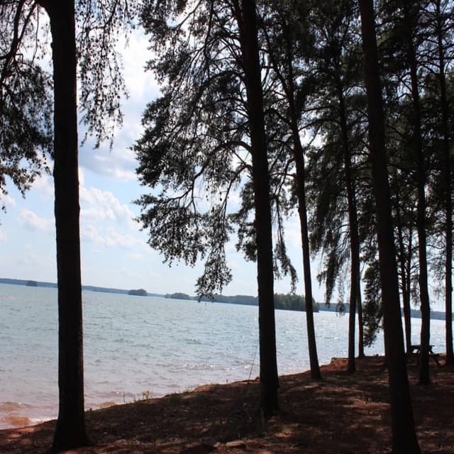 Meditation och Avslappning