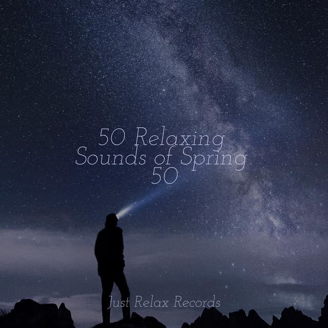 50 Relaxing Sounds of Spring 50 - Relaxing Mindfulness Meditation Relaxation Maestro