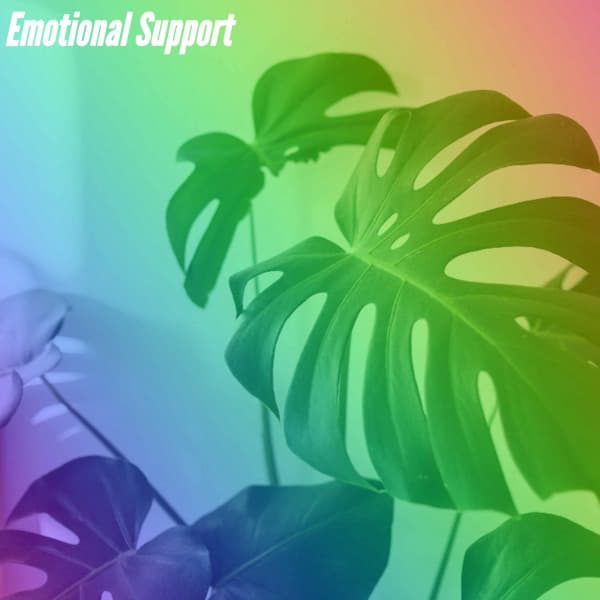 Emotional Support - Sunday Morning Jazz