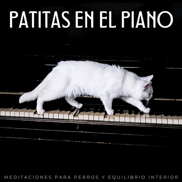 Patitas En El Piano: Meditaciones Para Perros Y Equilibrio Interior - Tranquilo Piano Jazz Relax
