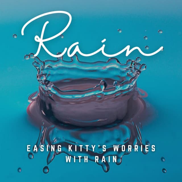 Rainy Purrs: Music to Ease Your Cat's Stress - Rain Sounds Factory STHLM