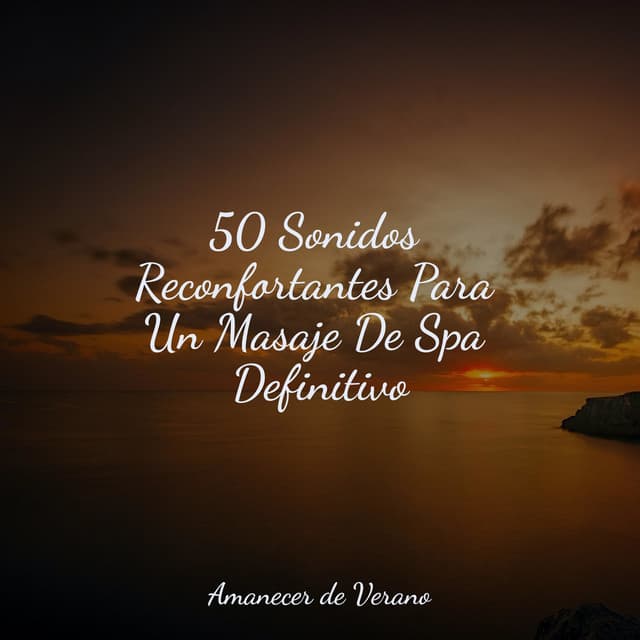 50 Sonidos Reconfortantes Para Un Masaje De Spa Definitivo - Sonido de lluvia