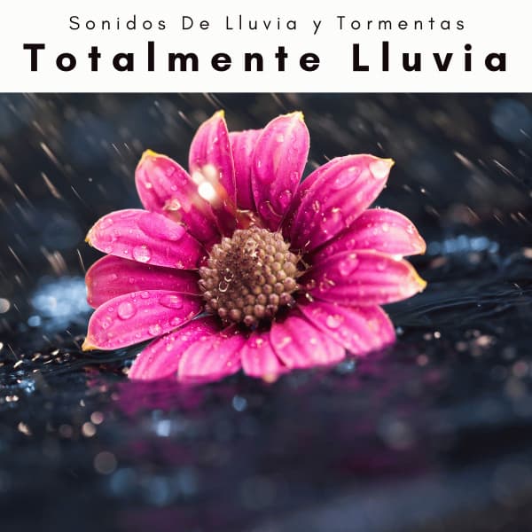 A h o r a: Totalmente Lluvia - Sonidos De Lluvia y Tormentas