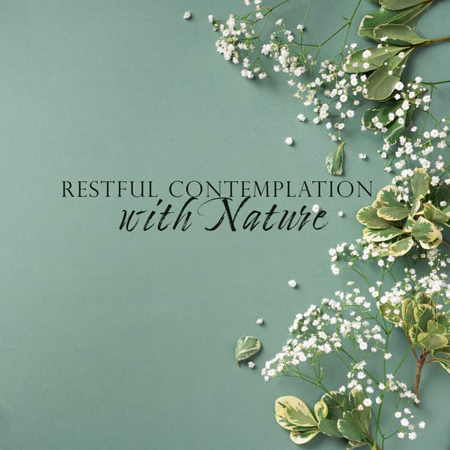 Restful Contemplation with Nature - Calming Sounds Sanctuary