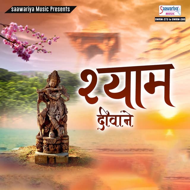 Shyam Diwane - Sanjay Mittal