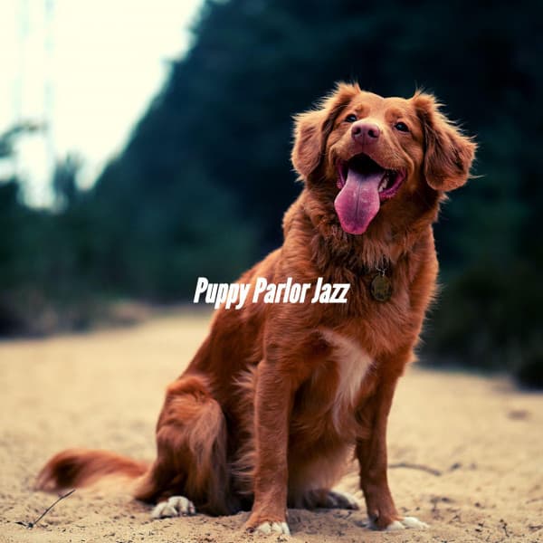 Puppy Parlor Jazz - Dog Music Hour