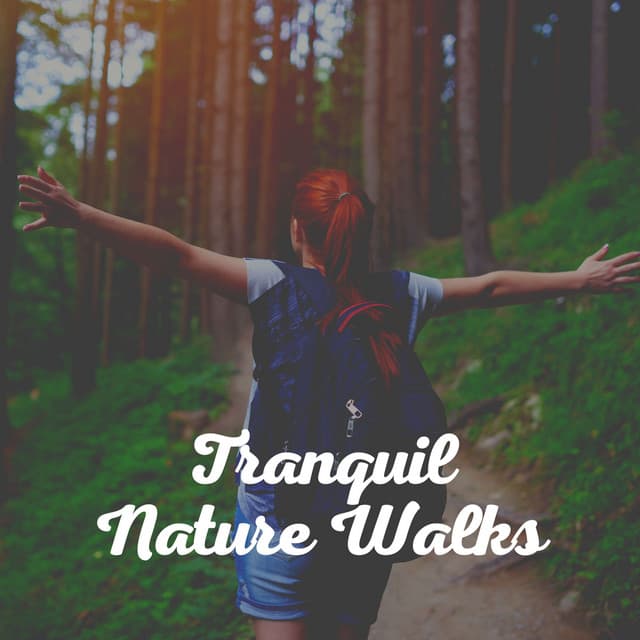 Tranquil Nature Walks - Nature