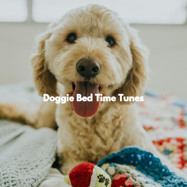 Doggie Bed Time Tunes - Happy Music for Retail Stores
