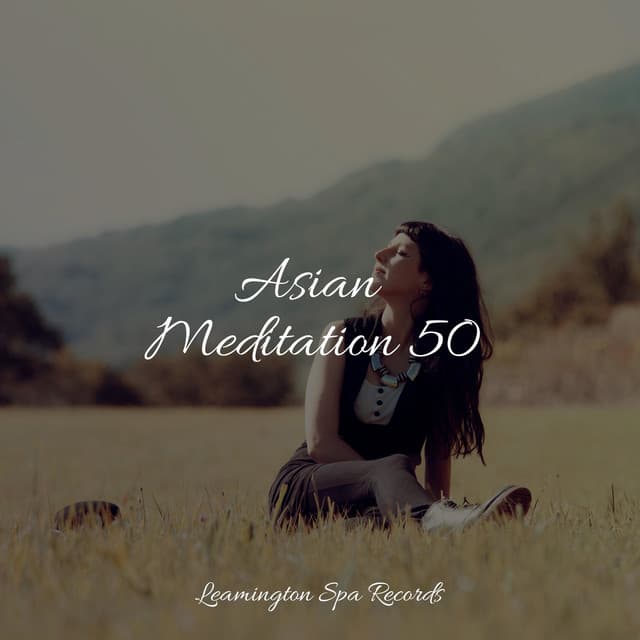 Asian Meditation 50 - Sleep Songs 101