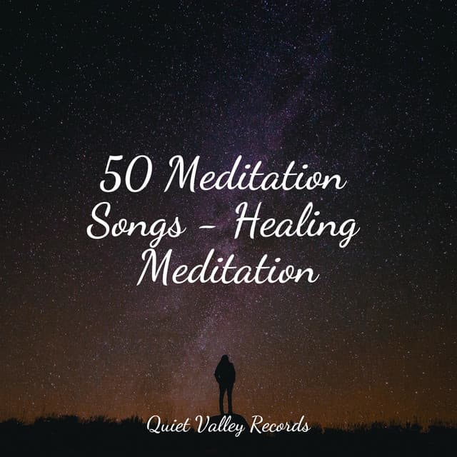 50 Meditation Songs - Healing Meditation - Yoga Trainer