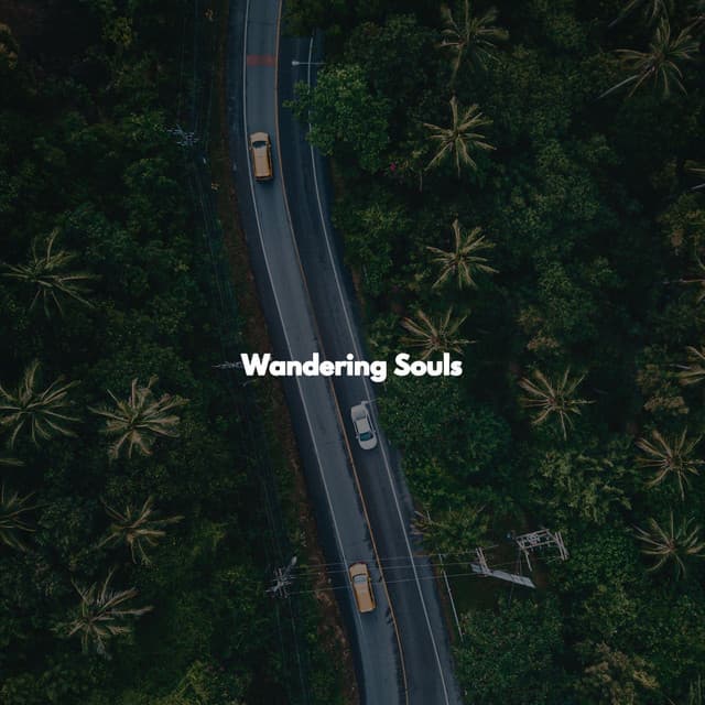 Wandering Souls - Sunday Morning Music