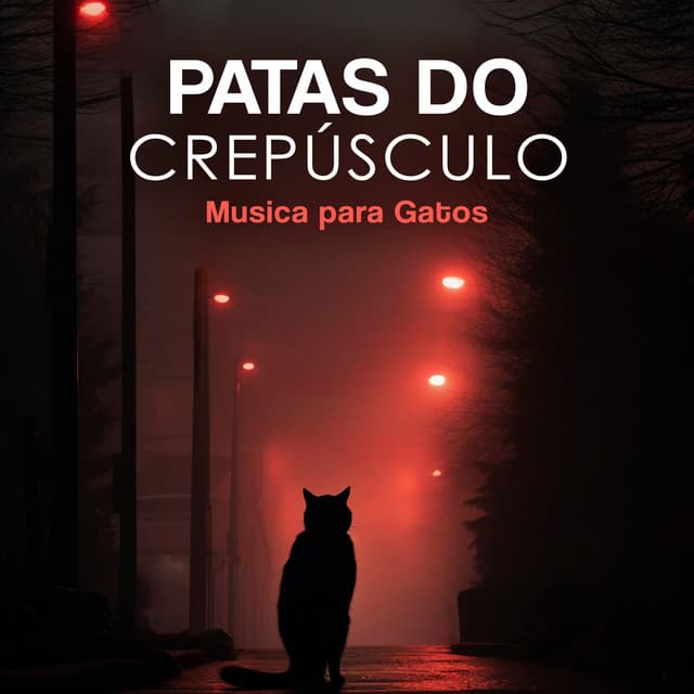 Patas do Crepúsculo - Musica para Gatos