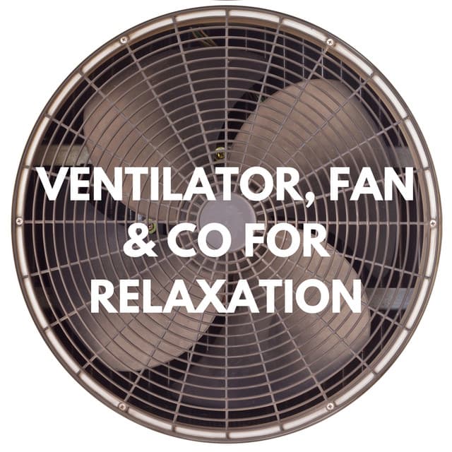 Ventilator, Fan & Co for Relaxation - Clothes Dryer Collection