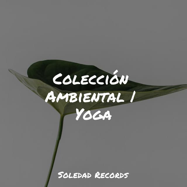 Colección Ambiental | Yoga - Masaje Tantrico Musica Colección