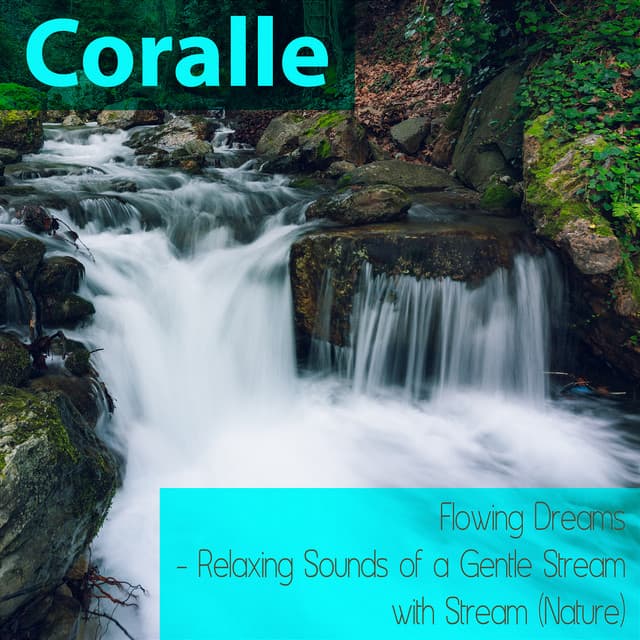 Flowing Dreams - Relaxing Sounds Of A Gentle Stream With Stream - Coralle