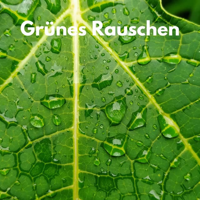 Grünes Rauschen - Weißes Rauschen Forschung