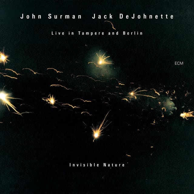 Invisible Nature - John Surman