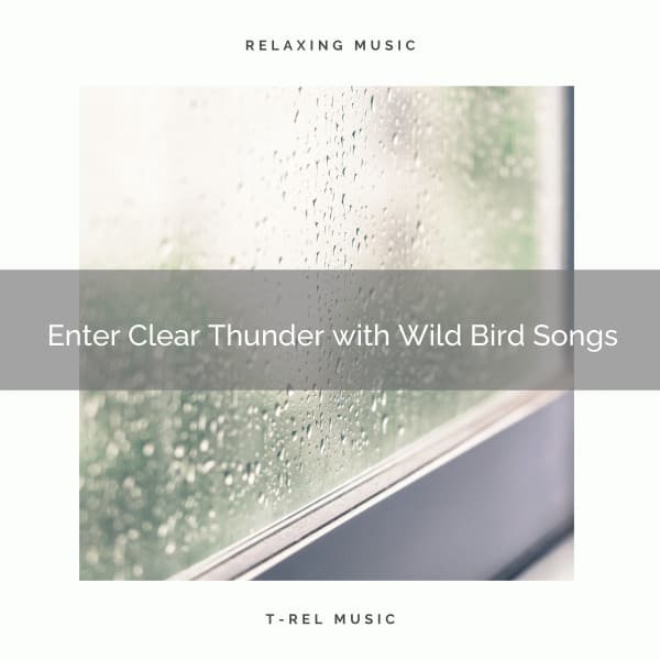 1 Enter Clear Thunder with Wild Bird Songs - Deep Rain Sampling
