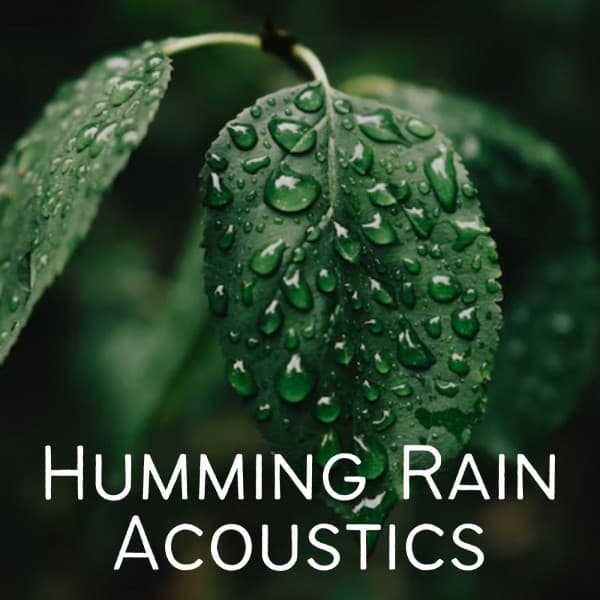 Humming Rain Acoustics - Binaural Beats Sleep Aid
