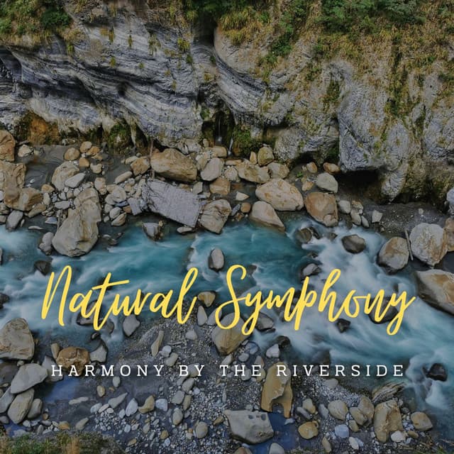 Stream's Natural Symphony: Harmony by the Riverside - Meteoric Stream