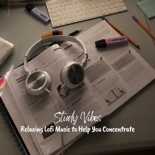 Study Vibes: Relaxing Lofi Music to Help You Concentrate - lofi stu