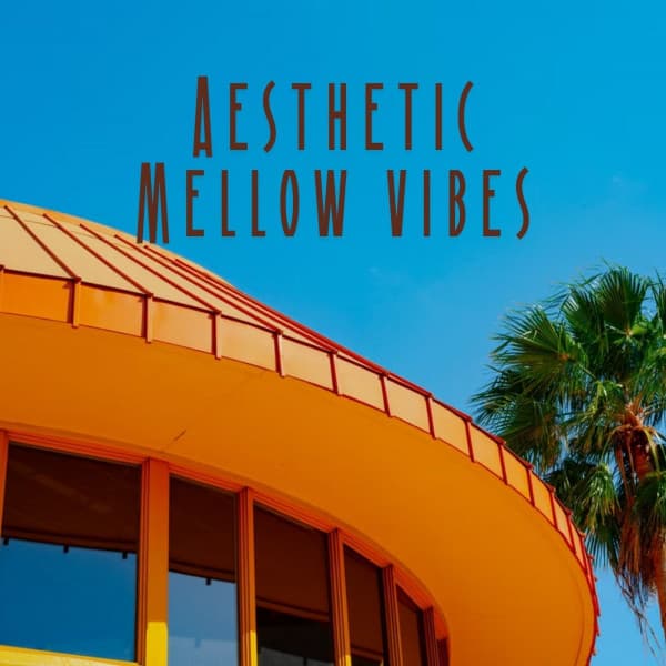 Aesthetic Mellow Vibes - Binaural Beats System