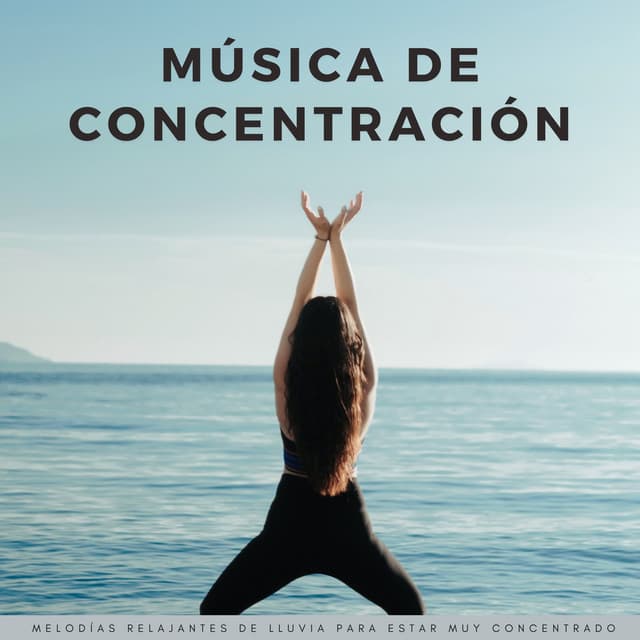 Música De Concentración: Melodías Relajantes De Lluvia Para Estar Muy Concentrado - Colmena de Lluvia
