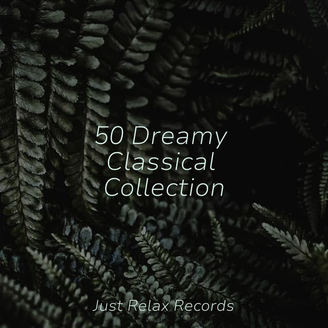 50 Dreamy Classical Collection - Chinese Relaxation and Meditation