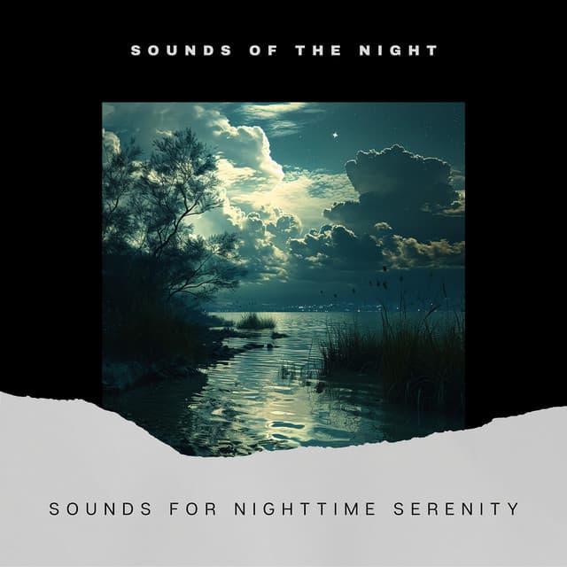 Sounds for Nighttime Serenity - Sounds of the Night