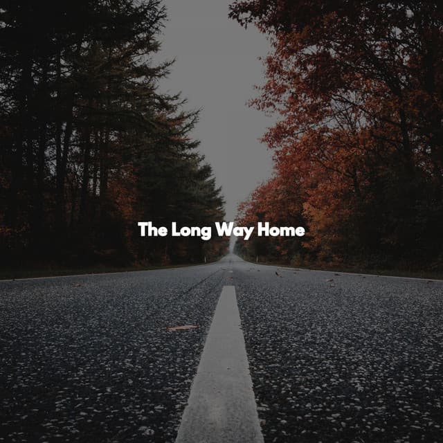 The Long Way Home - Jazzy VIbes for Study Time