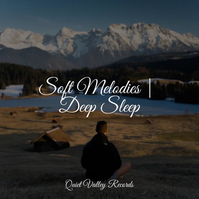 Soft Melodies | Deep Sleep - Soothing Chill Out for Insomnia