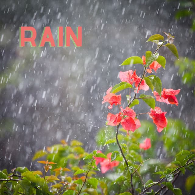 Rain - Herbert von Karajan