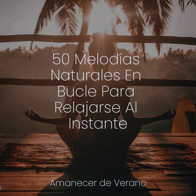 50 Melodías Naturales En Bucle Para Relajarse Al Instante - Yoga