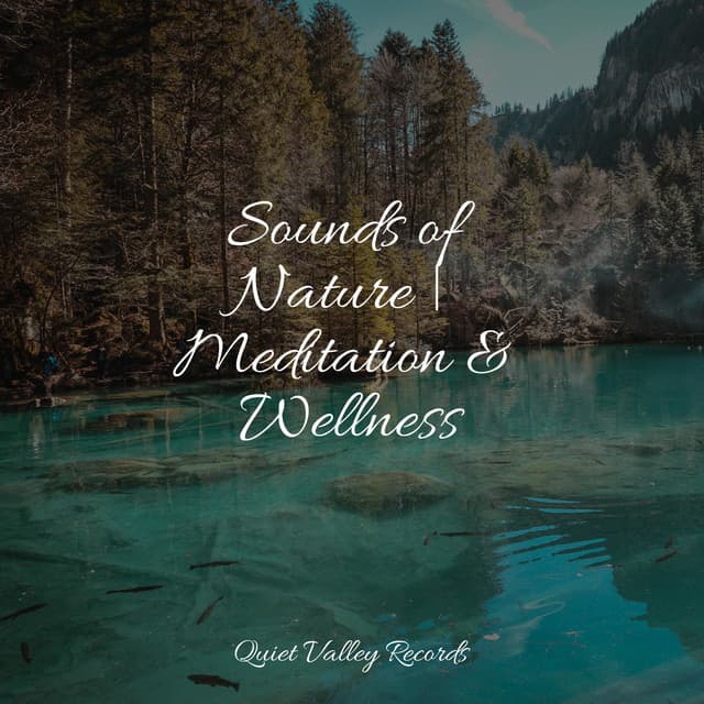 Sounds of Nature | Meditation & Wellness - Ambient Nature White Noise