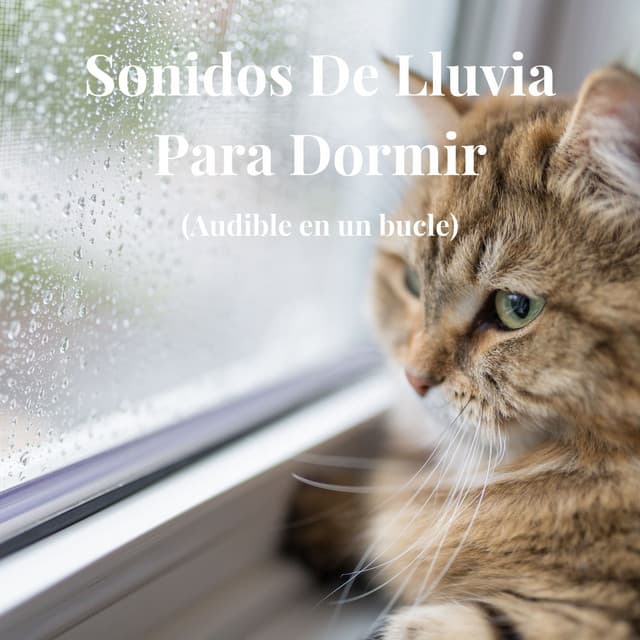Sonidos de Lluvia para Dormir - Lluvia para un sueño profundo