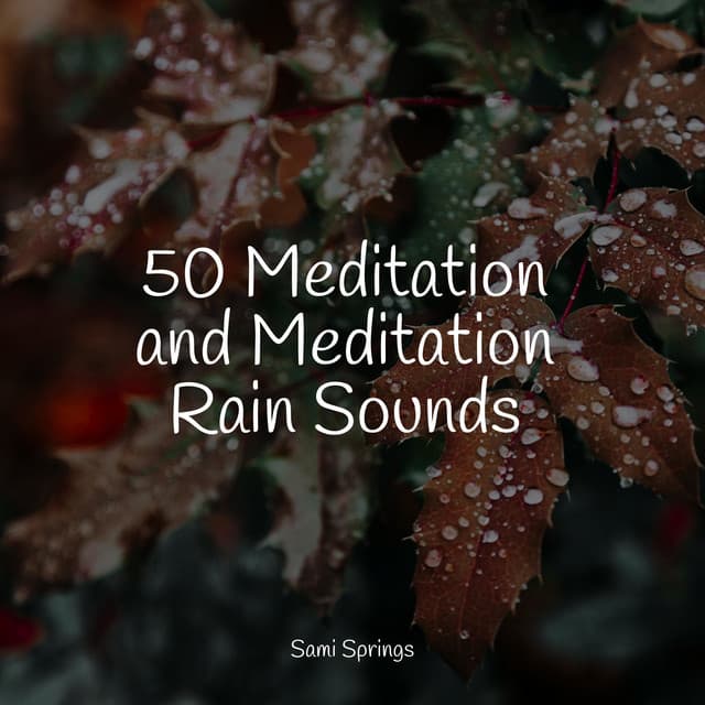 50 Meditation and Meditation Rain Sounds - Pacific Rim Nature Sounds