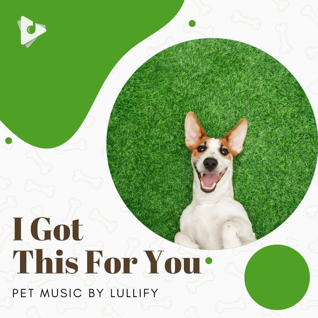 I Got This For You - Pet Music by Lullify