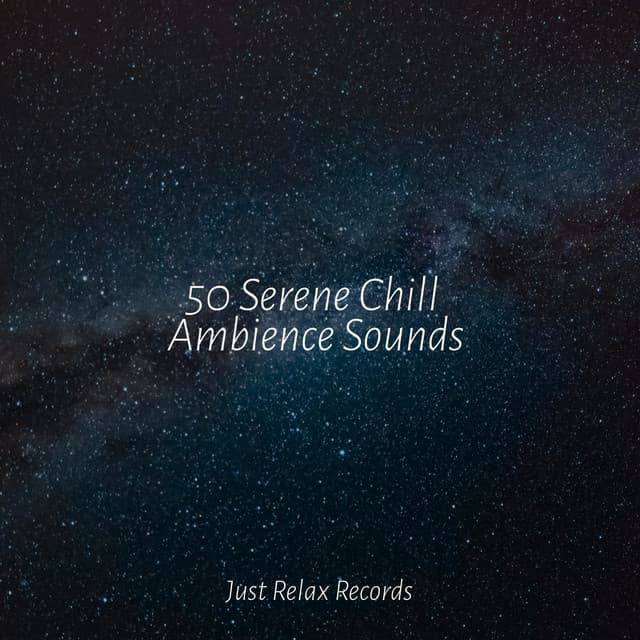 50 Serene Chill Ambience Sounds - Shakuhachi Sakano