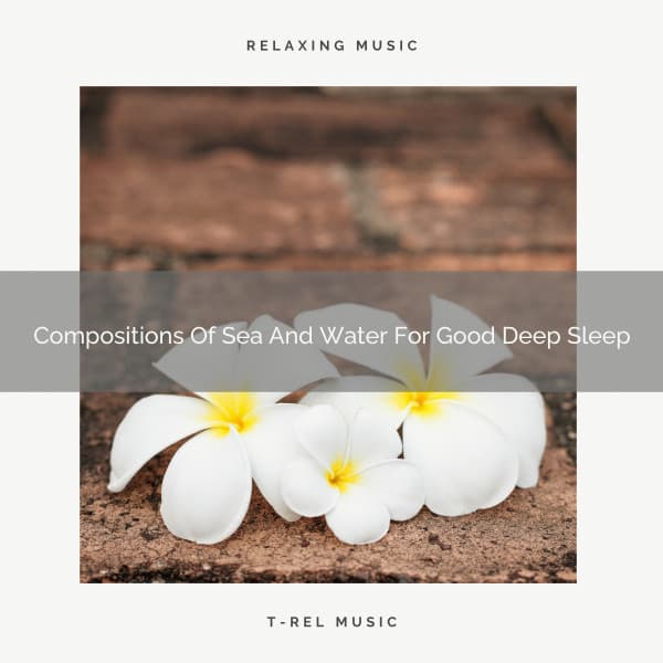 Compositions Of Sea And Water For Good Deep Sleep - Deep Rain Sampling