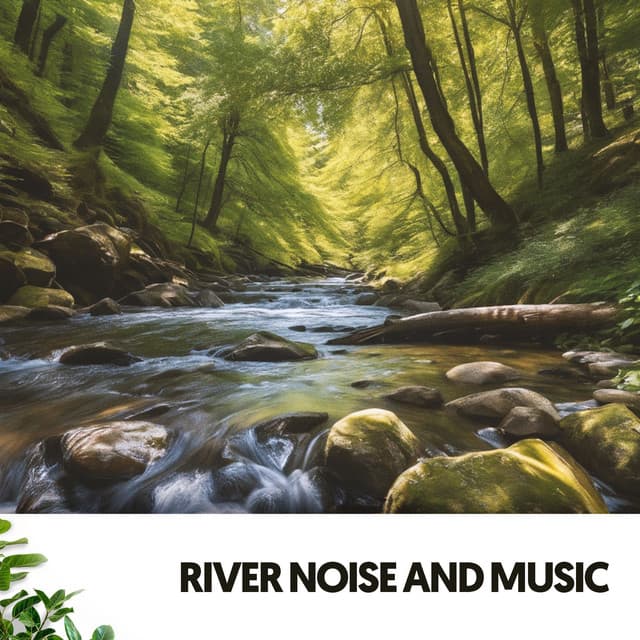 Rivers & Streams: Melodies of the Flowing Waters - Ruido Blanco Hart
