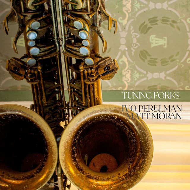 Tuning Forks - Ivo Perelman