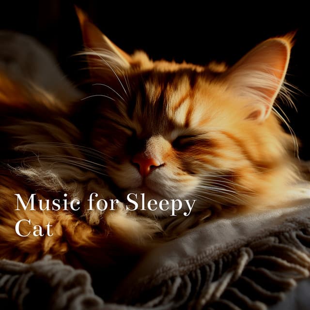 Music for Sleepy Cat - Cat & Calm