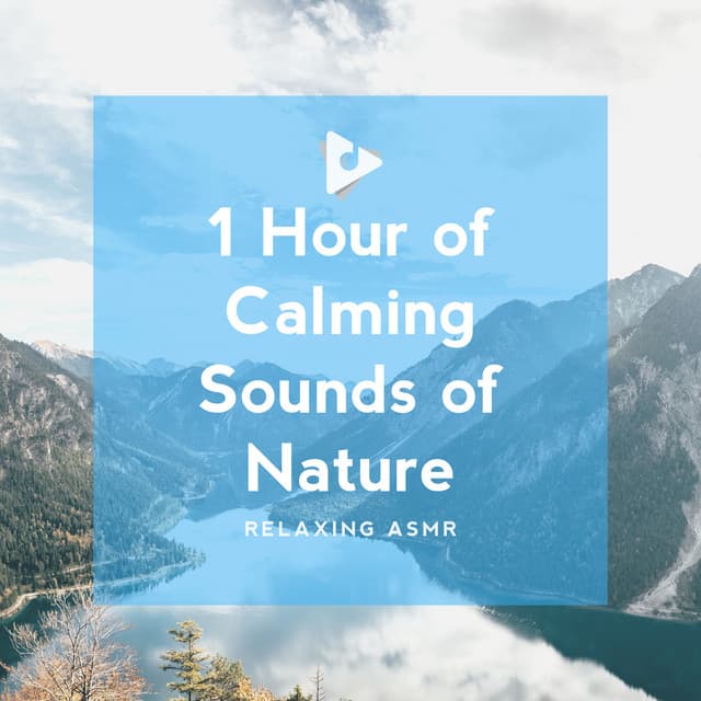 1 Hour of Calming Sounds of Nature - Relaxing ASMR