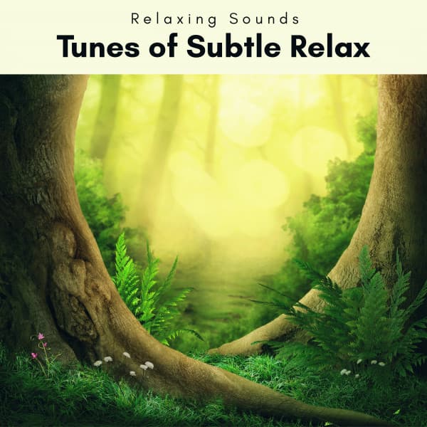 2 0 2 2 Tunes of Subtle Relax - Astral Noise
