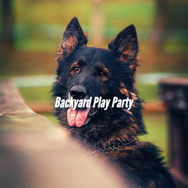 Backyard Play Party - Dog Jazz Music