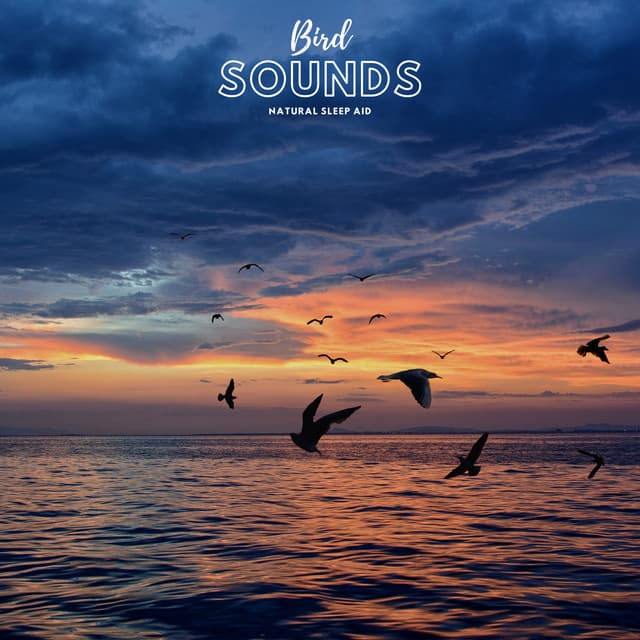 Bird Sounds Natural Sleep Aid - Natural Sample Makers