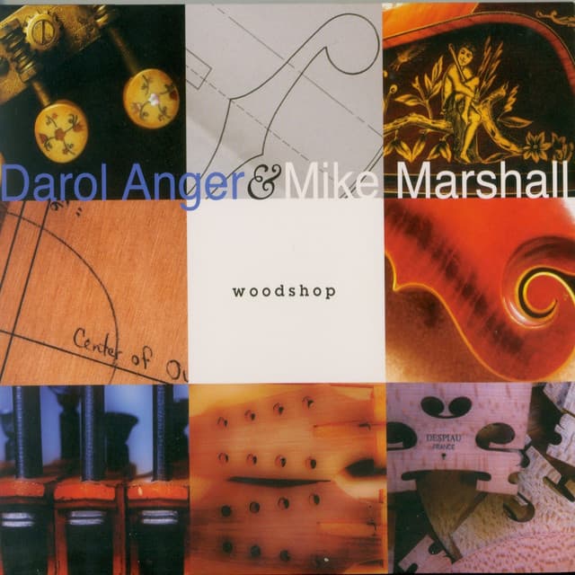Woodshop - Darol Anger