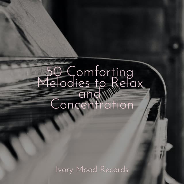 50 Comforting Melodies to Relax and Concentration - Meditación